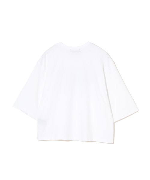 WIDESHORTTEE BEAR/FACE