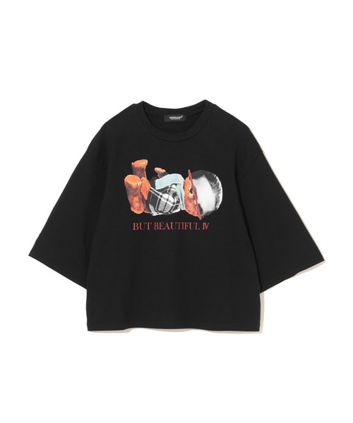 WIDESHORTTEE BEAR/FACE