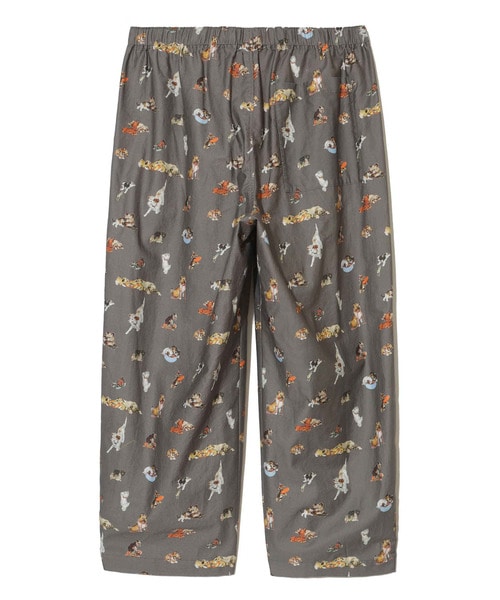 UC2E4701-3 詳細画像 GRAY BASE 6