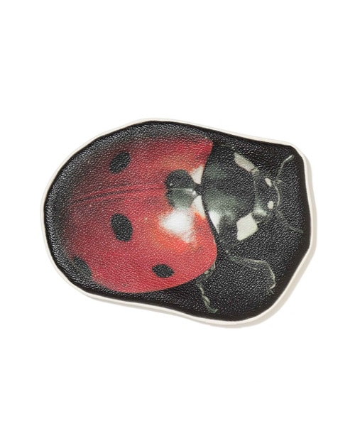転写ﾎﾟｰﾁ LADY BUG