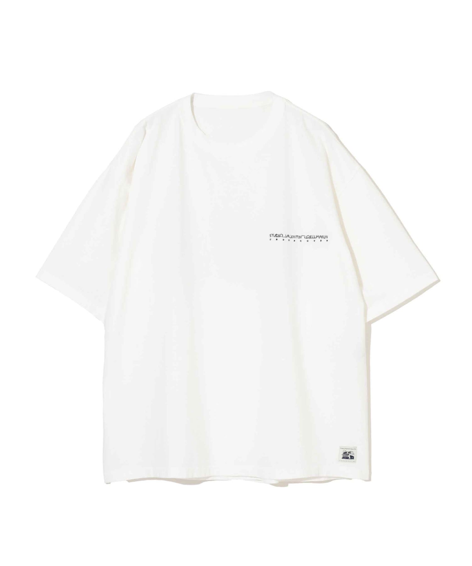 ﾋﾟｸﾞﾒﾝﾄ天竺PhotoTEE