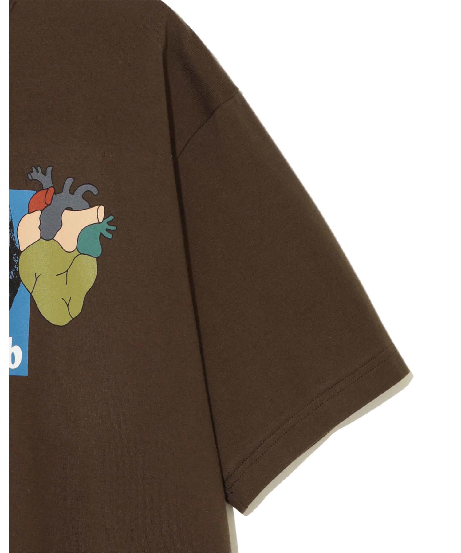UP2F4810-2 詳細画像 BROWN 5