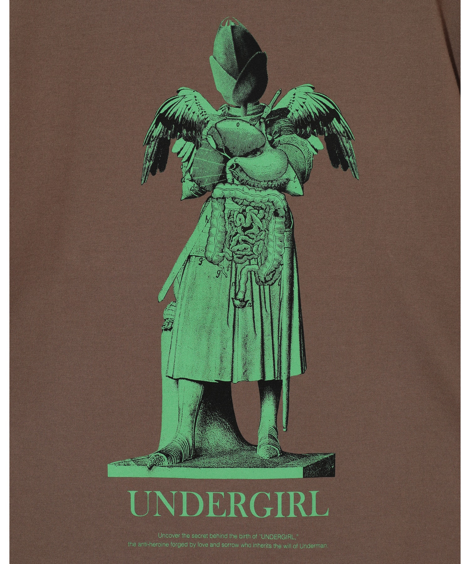 UC1F1891-3 詳細画像 L.BROWN 4