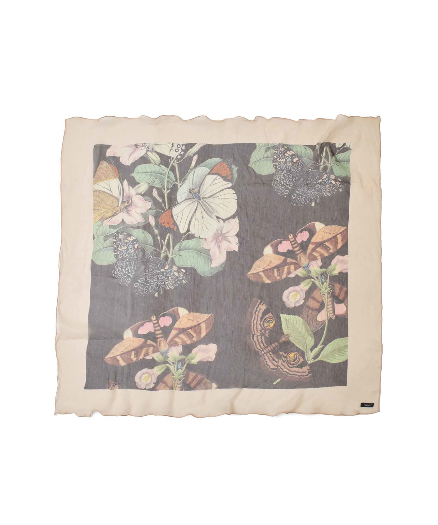 UC1F1S01-1 詳細画像 BLACK BASE 2