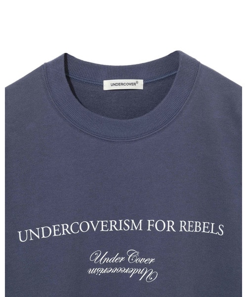 UP1F4804 詳細画像 GRAY BLUE 3